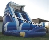 Curvy Water Slide Curvy Water Slide