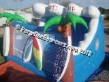 Surfs Up Bouncer Surfs Up Bouncer